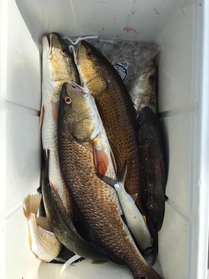 Crystal Beach Redfish Fishing, Texas