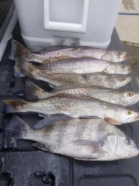 Trout Fishing from Crystal Beach