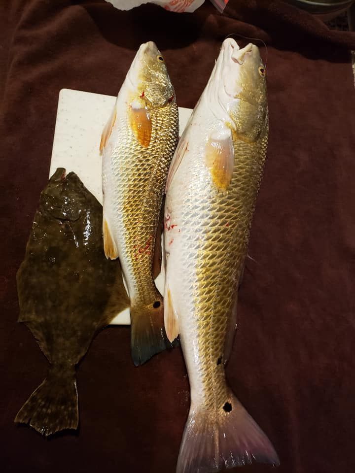 Premier Galveston Bay Inshore Fishing Charter