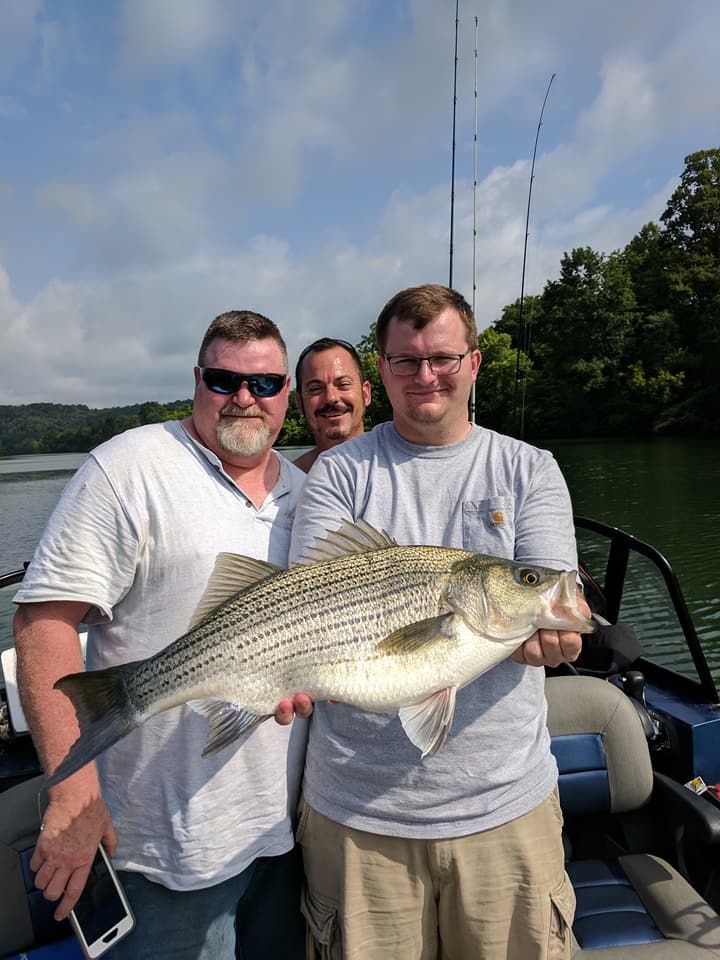 White Bass Fishing Charter Lenoir City TN River