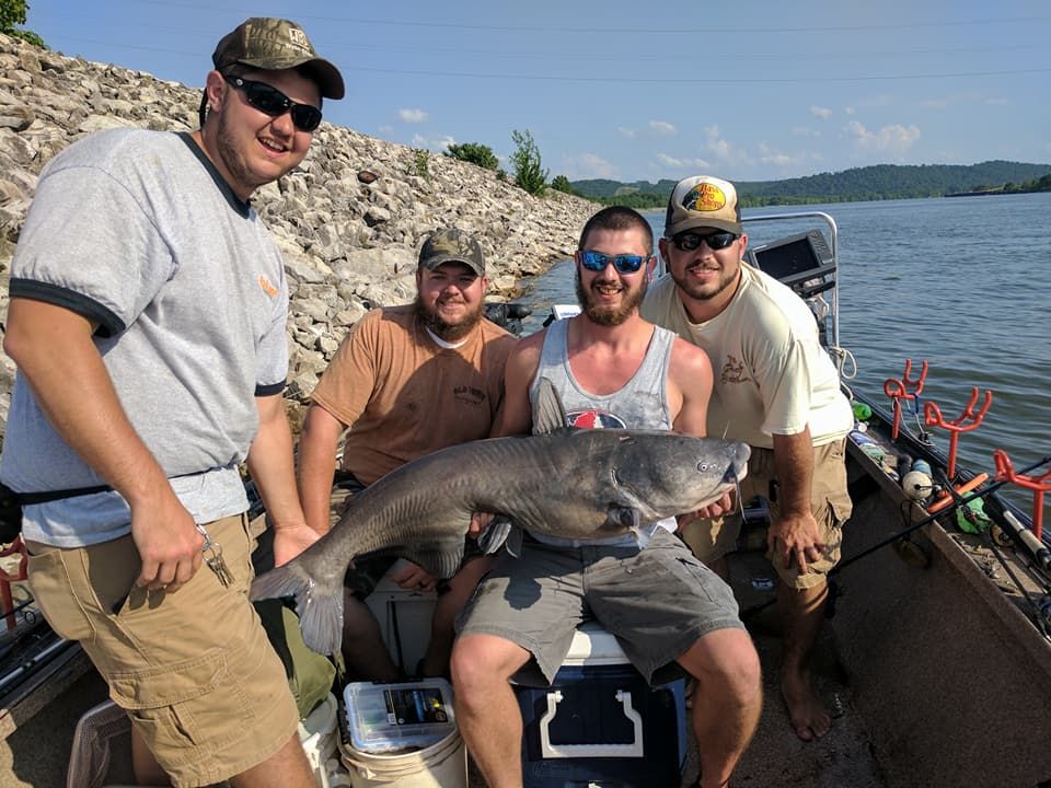 Lenoir City Catfish Charter Bushwacker Guide