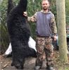 Bear Hunts North Carolina | Eastern Primal Outfitters