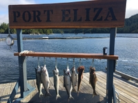King Slayer Sportfishing Niagara River Trout (Winter only) | 5 Hour Trip fishing River 