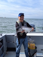 King Slayer Sportfishing Salmon Ontario Fishing | 6 Hour Bluffers Trip AM & PM  fishing Inshore 