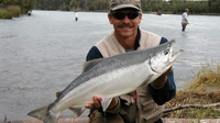 Alaska Slammin Salmon Charters Alaska Sockeye Salmon fishing River 