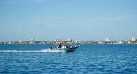 South Water Charters Dolphin Watch South Padre Island | Shared - 2 Hour Dolphin Watch Trip tours Excursion 
