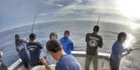 Impulse Sportfishing San Diego Half Day Fishing Trips, Fishing Guide fishing Offshore 