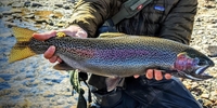 Angles Sports Guided Fly Fishing Trips | 2 Guest fishing River 