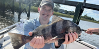 Sunshine Charters Fishing Charters Charleston SC | 3 Hour Charter Trip  fishing Inshore 