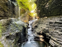 Buffalo Overland New York's Best Kept Secret | 2 Nights (October 18 - 20) - Finger Lakes Region Seasonal Trip (PREMIUM PACKAGE) off_roading Cross-Country 