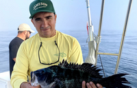 Rogue Charter Tautog Inshore Fishing | 6 HR Private Trip fishing Inshore 