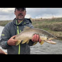 West Wyoming Fly Fishing Wade Fishing Trip -Full Day fishing River 