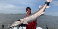 Here We Go Sport Fishing Charter Fishing in California | Private 8 hour Morning Sturgeon Expedition! fishing Inshore 