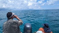 Salty Paradise Charters Florida Keys fishing Charters | 4 Hour Charter Trip  fishing Inshore 