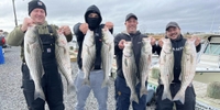 Nightwatch Sport Fishing Barnegat Light Fishing Charters |  Half Day Fishing Trip fishing Inshore 