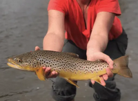 Book Fish Missoula Fly Fishing Outfitters on Guidesly