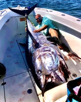 Got Stryper Charters 8 Hour Offshore Fishing Trip— Chatham, MA fishing Offshore 