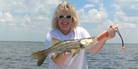 Florida Reels Fishing Charters – Apollo Beach Riverview Fishing Charters - 2 Hour Seasonal Inshore Escapade.  fishing Inshore 