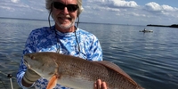 Florida Reels Fishing Charters – Apollo Beach Tampa Fishing Charters - 2 Hour Inshore Seasonal Trip 	 fishing Inshore 