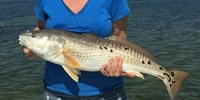 Florida Reels Fishing Charters – Apollo Beach Fishing Trips Tampa	- 2 Hour  And 4 Hour Inshore Family Fun Trip fishing Inshore 
