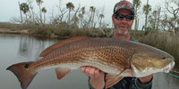 Seize The Bay Fishing Charters Homosassa Fishing Charter | 4 Hour AM Charter fishing Inshore 