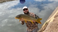 Lo Water Guide Service Fishing Trips in Arizona - Urban Fly Fishing For Carp | Max of 4 Guest fishing River 