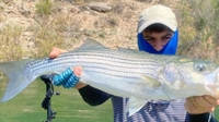 Lo Water Guide Service Arizona Fishing Trip - Bass Fishing | 3 Guest Max fishing BackCountry 
