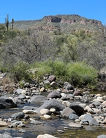 Lo Water Guide Service Arizona Birding Tours | Maximum of 8 Guest tours Wildlife 