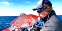 Testify Charters Destin Florida Fishing Charters | 4 Hour Gulf Fishing Trip fishing Offshore 