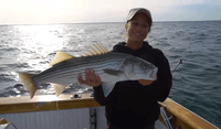 Columbia Sportfishing Half Day Bass & Bluefish Charter in Cape Cod Bay (4 hours) fishing Inshore 