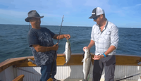 Columbia Sportfishing Full Day Inshore Fishing Charter in Cape Cod Bay (8 hours) fishing Inshore 