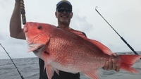 Misa Charters Summer Fishing Trip (6 Hours) - Destin, Florida fishing Offshore 