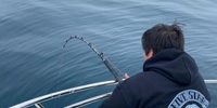 Into The Depths Sportfishing San Diego Bay Fishing Charters fishing Inshore 