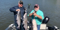 Mike Doll Fishing Guide Service 8 Hour Lake of the Ozarks Fishing (2 people) fishing Lake 