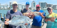 Paradise Fly Sport Fishing  Offshore Fishing Adventure: What You'll Find Off the Coast of Sarasota! fishing Offshore 