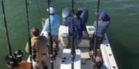 Paradise Fly Sport Fishing  Limitless Opportunities for Offshore Fishing in Sarasota fishing Offshore 