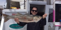 Sole-Man Sportfishing Fishing Trips San Francisco fishing Offshore 