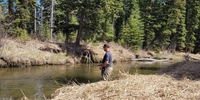 Lime Trude Outfitters Alberta Fishing | Wade Fishing and Walk Trips in Raven River or James River (For 1 person) fishing River 