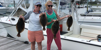 Makai Charters Fishing Charters In Delaware | 4 To 8 Hour Charter Trip  fishing Inshore 