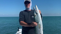 Gulfcart Fishing Charters Florida Fishing | Inshore Fishing Charters In Cortez, FL  fishing Inshore 