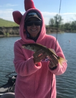 Brad Petersen Outdoors Colorado Guided Fishing  fishing Lake 