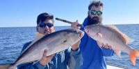Sons Up Charters Fort Walton Fishing Charters | 6 Hour Escapades  fishing Offshore 