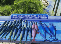 Bendin Rods Fishing Charters Fort Walton Beach Charter Fishing | 6 Hour Charter Trip fishing Offshore 