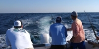 Broke Tip Charter FL Fishing Charters | Inshore Fishing Trip fishing Inshore 