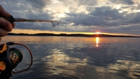 My Way Charters Escape to Oneida Lake for an Unforgettable Walleye Fishing Adventure fishing Lake 