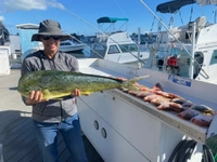 Fish Inc. Charters  6-Hour Fishing Trip - Key West, FL fishing Inshore 