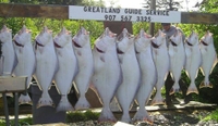 Greatland Guide Service & Lodge Alaska Fishing Charters | 6 Hour Halibut Trip  fishing Offshore 