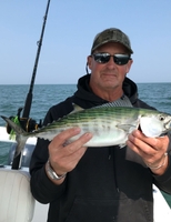 Magnanimous Sport Fishing  Bonito Cape Cod Bay fishing Inshore 