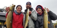 Set The Hook Guide Service LLC. Fishing Guides In Minnesota | 6 or 8 Hour Lake Guided Fishing Trip fishing Lake 