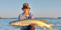 Musky Geek Guide Service Minnesota Fishing Trips	 fishing Lake 